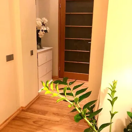 Exclusive In The Heart Of 아파트 *